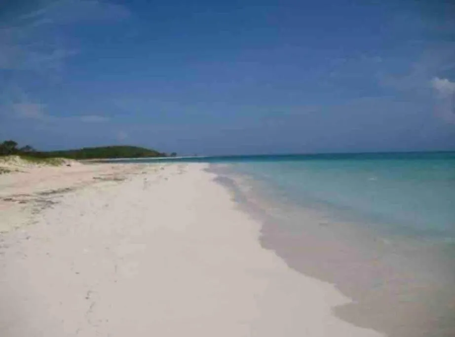 2 Love Birds Abode 3 Minutes To Beach Falmouth Apartment